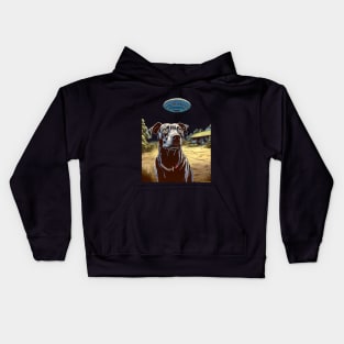 UFOs 2: My Dog Thinks UFOs Are Real on a dark (Knocked out) background Kids Hoodie